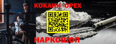 индика Гусев