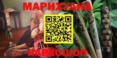 индика Гусев