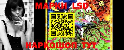 индика Гусев