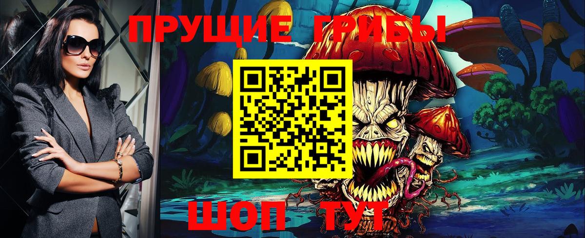 Мыски  Галлюциногенные грибы Psilocybe  Вход с VPN 